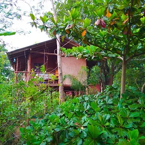  Privatunterkunft Akash Treehouse