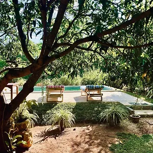Homestay Shan Mango, Sigiriya